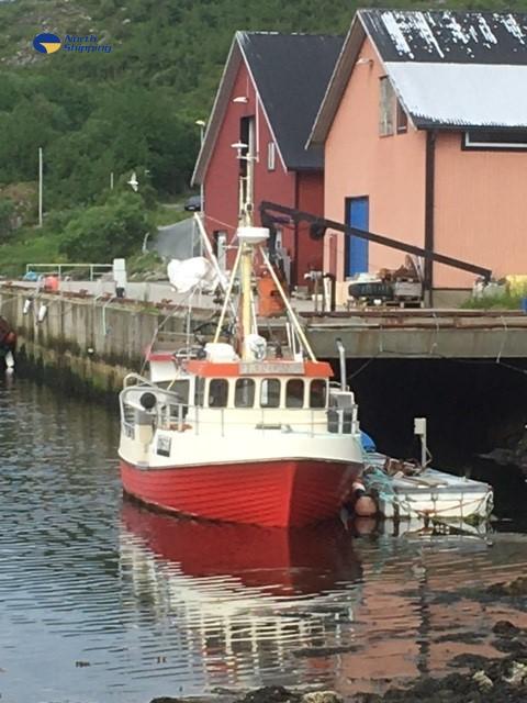 Høvding LK6018