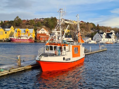 Suløy